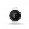 Garmin Approach S12