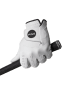 Ping Tour - Golf Glove