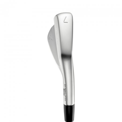 Mizuno Pro S1 - 6 Irons - Custom